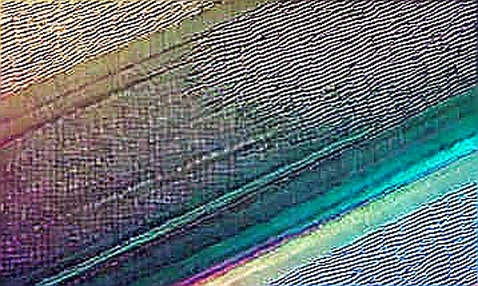 The Signal in the Void: When Empty Data Becomes the Loudest Alpha