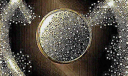 The Empty Ledger: Inside the 9-Dimension Analysis Engine That Went Dark The Empty Ledger: Inside the 9-Dimension Analysis Engine That Went Dark