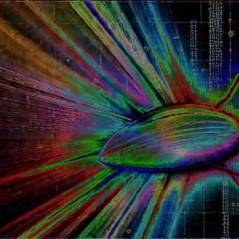 The 350-Millisecond Pulse: Solana's Speed Upgrade Decoded