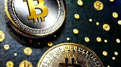 The Cardano Contradiction: Price Up, Users Out