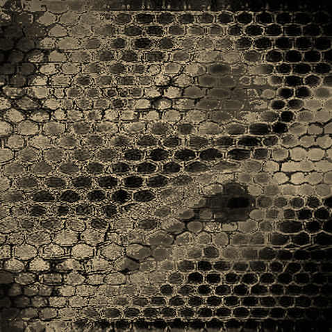 The Liquidity Trap: Why Bitcoin's $53K Pool Is the Real Signal, Not the Triangle Breakout The Liquidity Trap: Why Bitcoin's $53K Pool Is the Real Signal, Not the Triangle Breakout