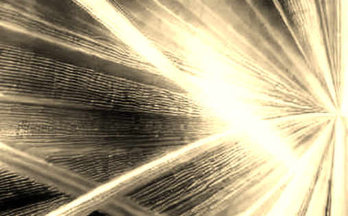 The 27.5% Signal: How Prediction Markets Are Redefining Geopolitical Risk Pricing